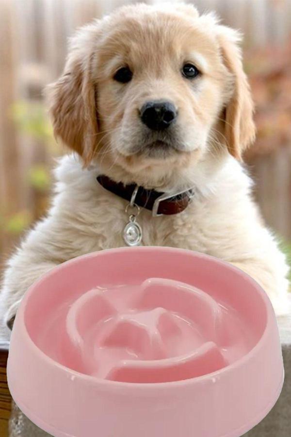 Mobee Evcil Hayvan Yavaş Mama Yeme Kabı Yavaş Besleyici Kedi Köpek Mama Kabı Orta Boy 375 Ml 1450 - Image 1