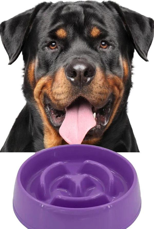 Mobee Evcil Hayvan Yavaş Mama Yeme Kabı Yavaş Besleyici Kedi Köpek Mama Kabı Büyük Boy 775 Ml 1450 - Image 1