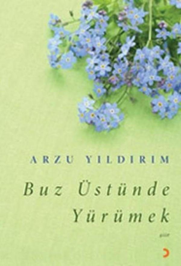 Buz Üstünde Yürümek - Cinius Yayınevi - Image 1