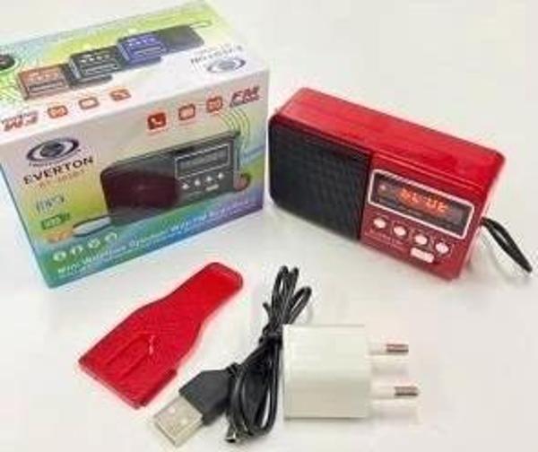 Rt-303 Usb Ve Micro Kart Girişli Manuel El Radyosu - Image 1