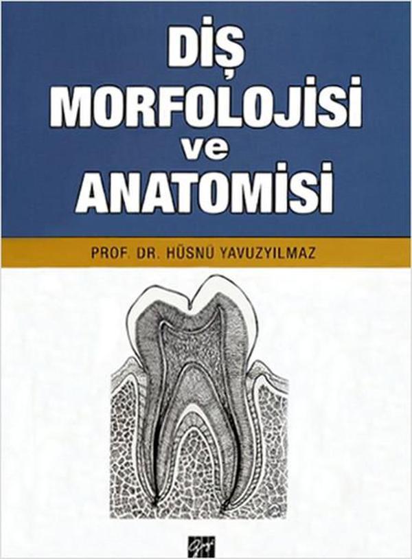 Diş Morfolojisi ve Anatomisi - Gazi Kitabevi - Image 1