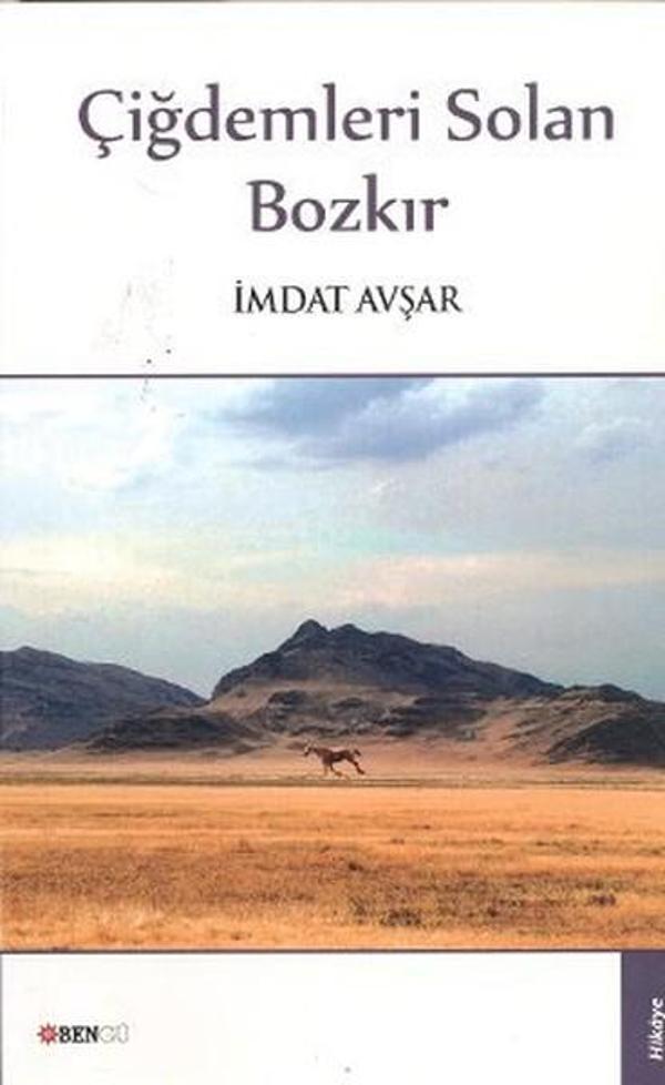 Çiğdemleri Solan Bozkır - Bengü Yayınları - Image 1