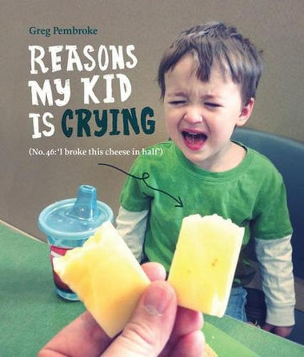 Reasons My Kid is Crying - Boxtree - Image 1