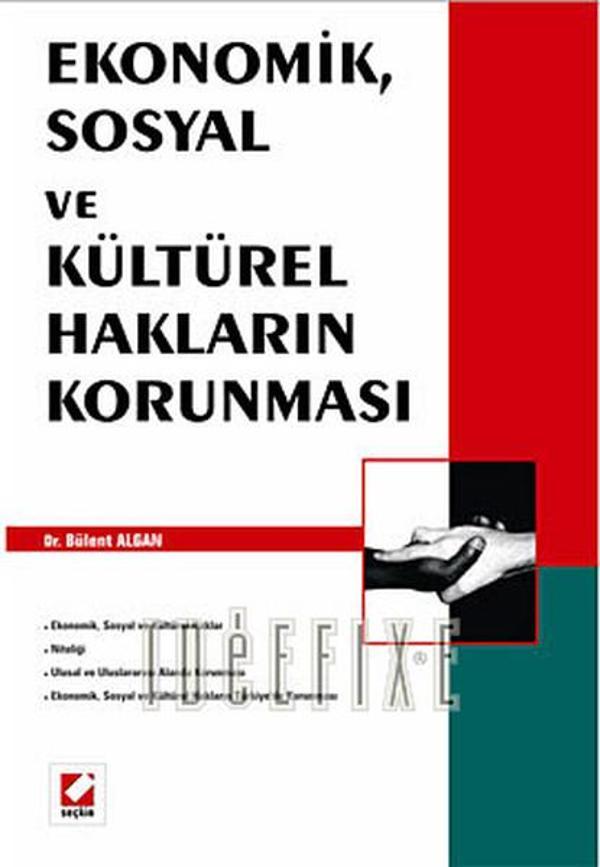 Ekonomik Sosyal ve Kültürel Hakların Korunması - Seçkin Yayıncılık - Image 1