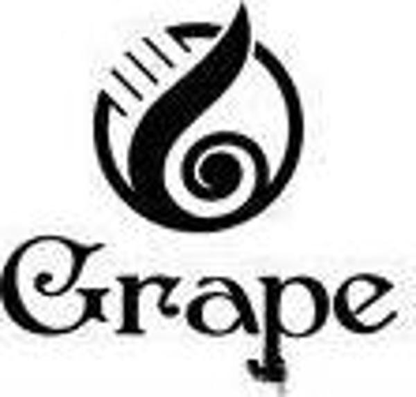GRAPE 4/4 KLASİK GİTAR EC-309YN - Image 1