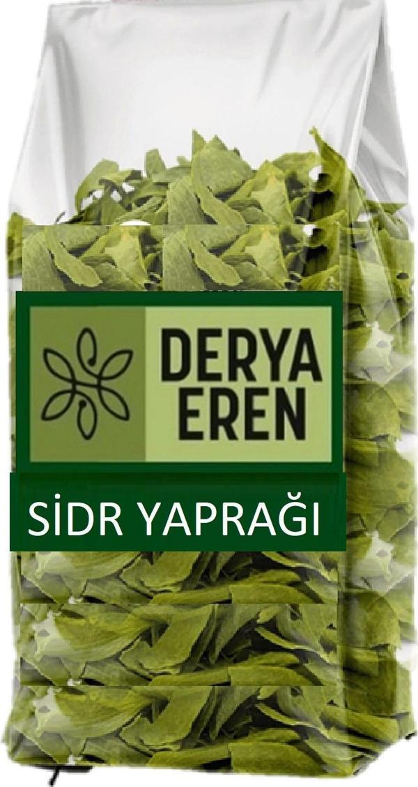 Sidr Yaprağı (Zizyphus Spina),Arabistan Kirazı Yaprağı, 100gr, Derya Eren - Image 1
