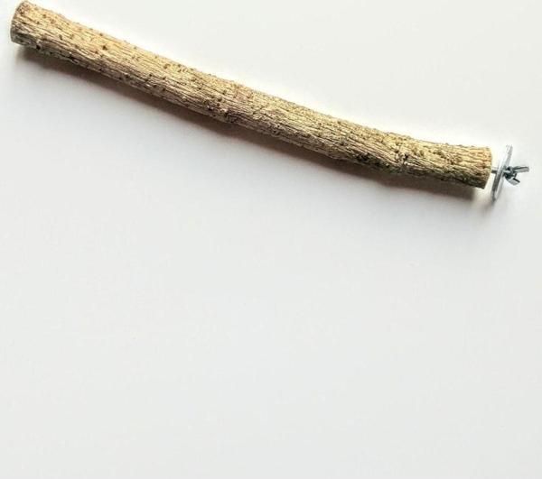 Exovit Kuş Tüneği - Image 1