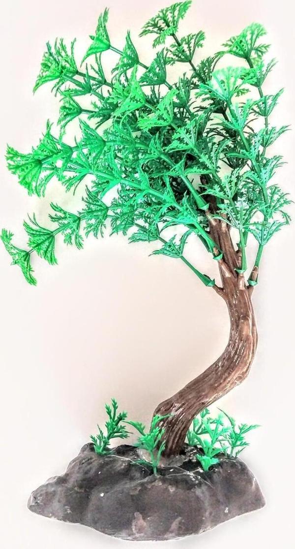 Fatih-Pet Bonsai Ağaç Akvaryum Bitki - Image 1