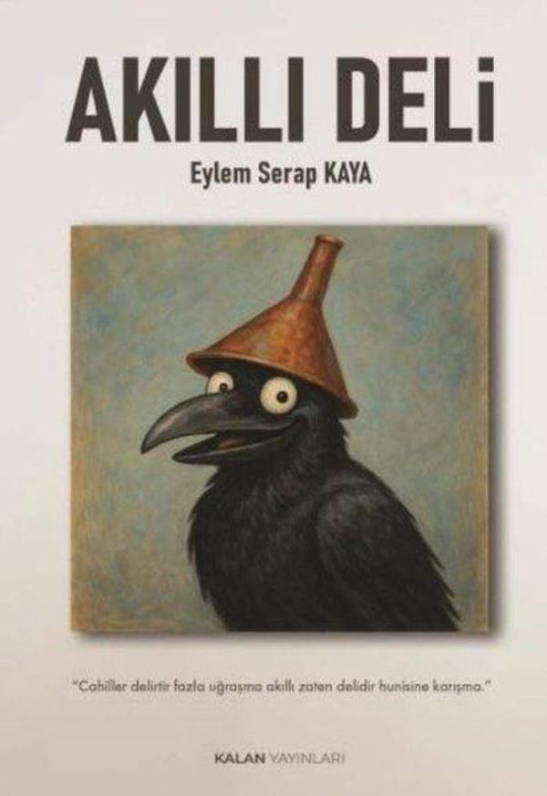 Akıllı Deli - Kalan Yayınları - Image 1