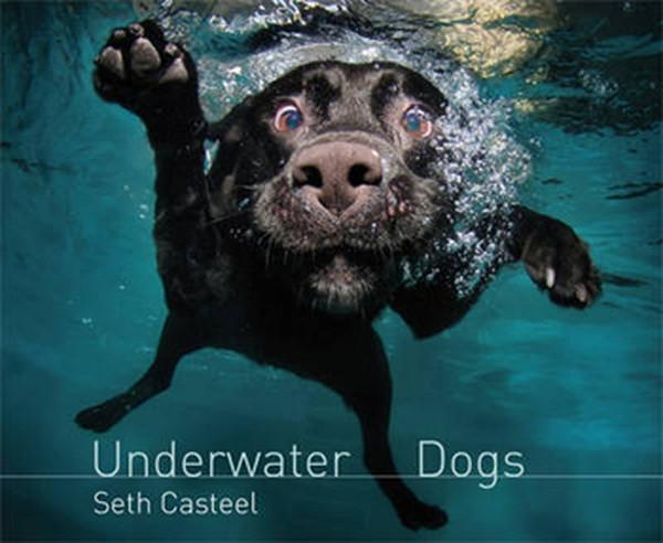 Underwater Dogs - Headline Book Publishing - Image 1