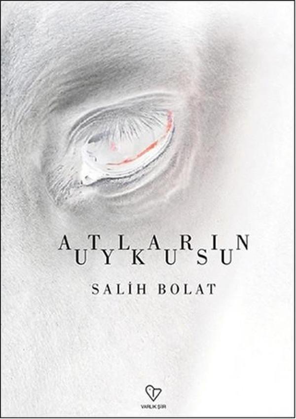 Atların Uykusu - Varlık Yayınları - Image 1
