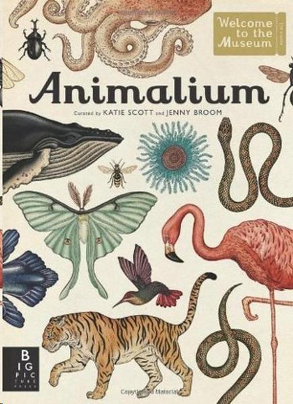 Animalium (Welcome to the Museum) - Big Picture Press - Image 1