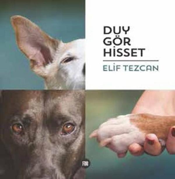 Duy Gör Hisset - Foo Prodüksiyon - Image 1