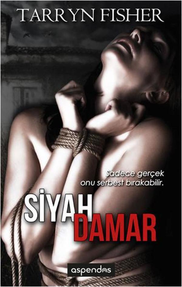 Siyah Damar - Aspendos Yayıncılık - Image 1