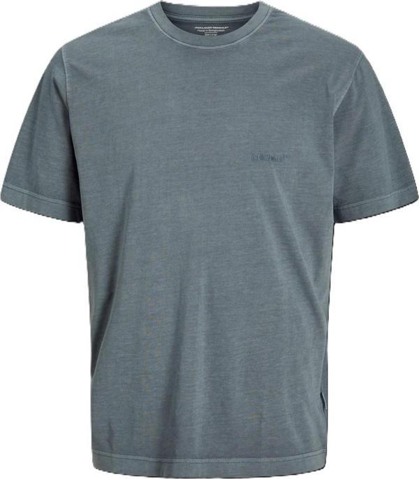 Jack&Jones Jorvarenna Pigment Dye Tee Erkek T-shirt 12273573 - Image 1