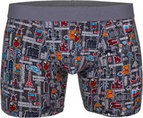 Erkek  Baskılı Boxer - Image 1