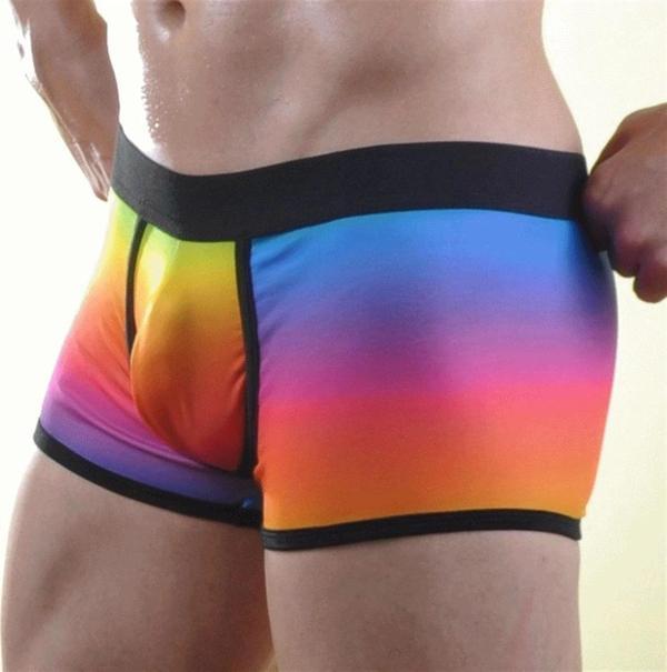 Renkli Erkek Boxer - Image 1