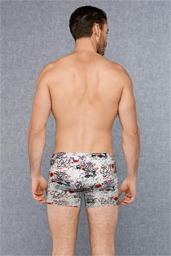 Erkek  Baskılı Boxer - Image 1