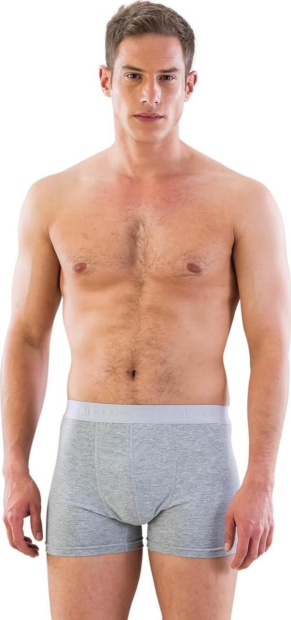 GRİ   Erkek Boxer - Image 1