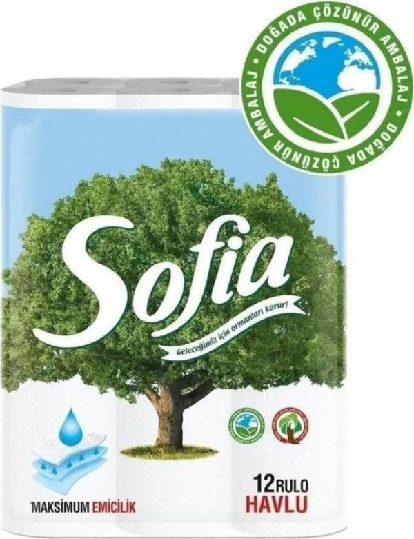 Sofia Kağıt Havlu 2 X 12'li - Image 1