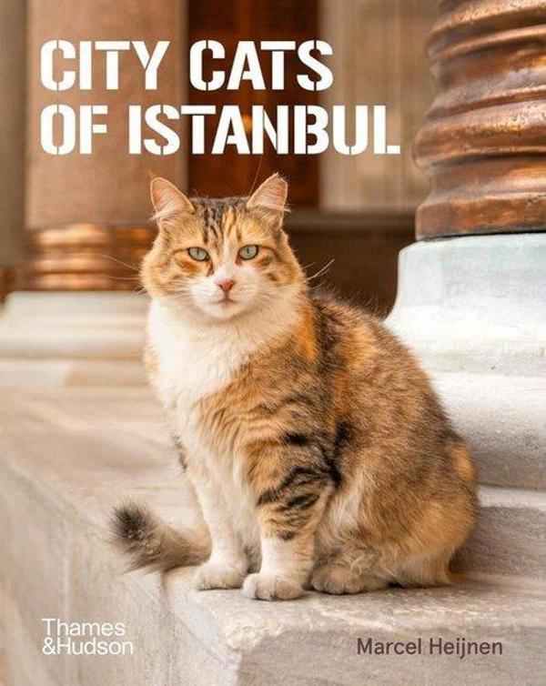 City Cats of Istanbul - Thames & Hudson - Image 1