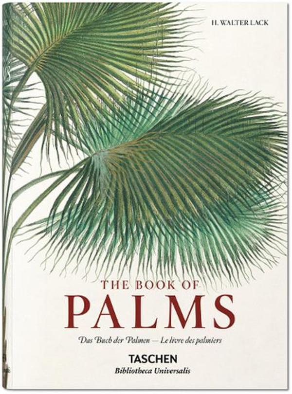 Book Of Palms - Taschen - Image 1