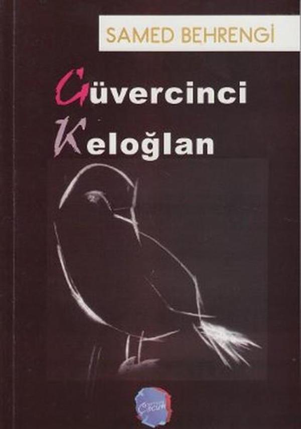 Güvercinci Keloğlan - Berikan Yayınevi - Image 1