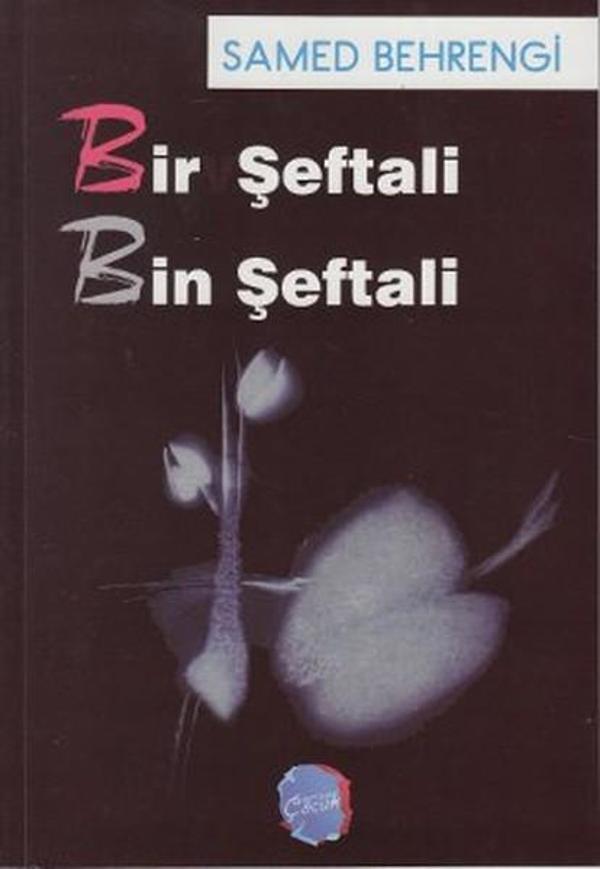 Bir Şeftali Bin Şeftali - Berikan Yayınevi - Image 1