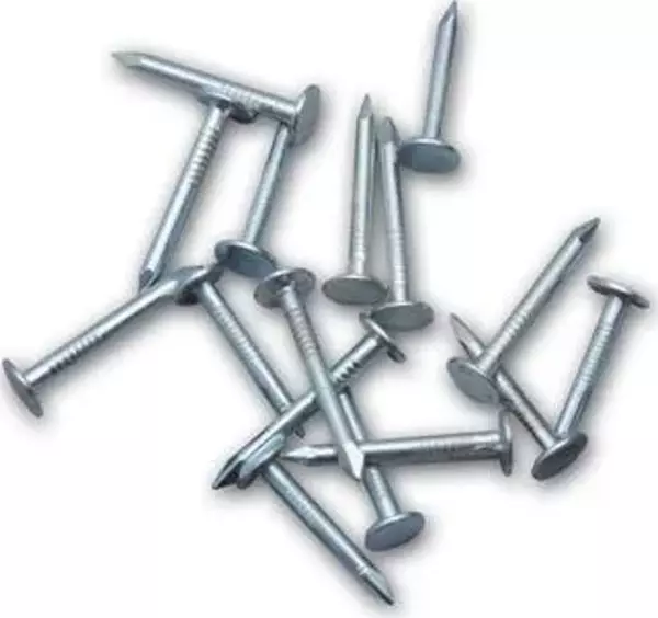 Şıngıl Çivisi 2,5 kg - Image 1