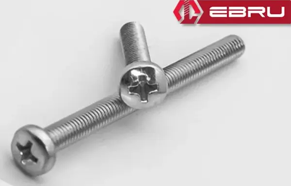 Ebru Yuvarlak Yıldız Başlı YSB Civata M6x30 - 100 Adet - Image 1