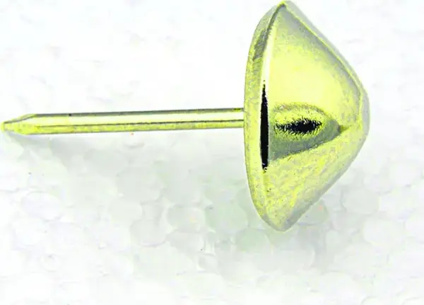 Febko Altın, Sarı Konik Kabara Raptiye 11 mm - 100 adet - Image 1