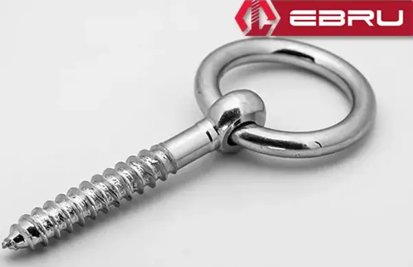 Ebru Halkalı Vida 10 - 3 Adet - Image 1