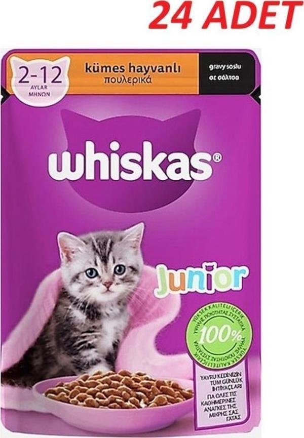 Whiskas Pouch Sos İçinde Kümes Hayvanlı Yavru Kedi Konservesi 85 Gr*24 Adet - Image 1
