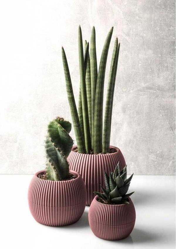 Omnipazar KRS Mercan Dekoratif Kaktüs Sukulent Plastik Saksı Takımı 3'lü Set Soft Pembe - Image 1