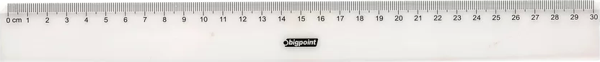 Bigpoint Plastik Cetvel 30 cm - Image 1