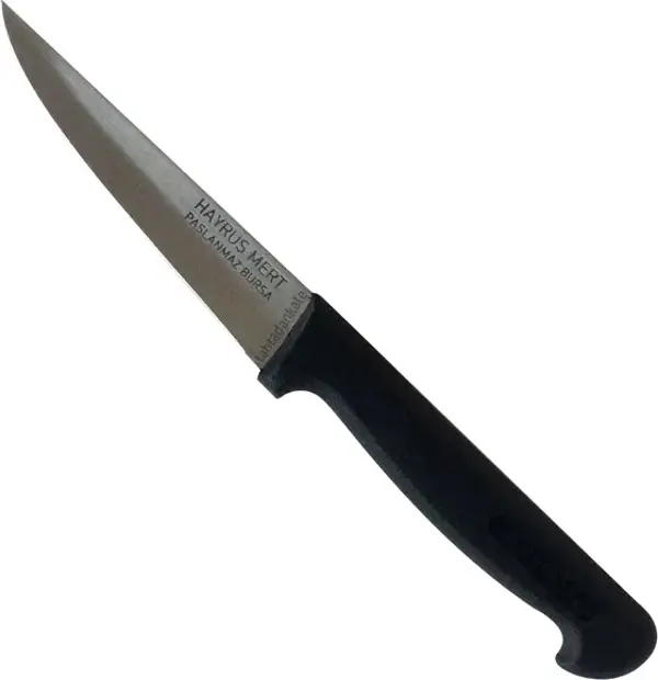 Hayruş Mert Paslanmaz Bursa Sebze Bıçağı 11 cm, Plastik Sap - Image 1