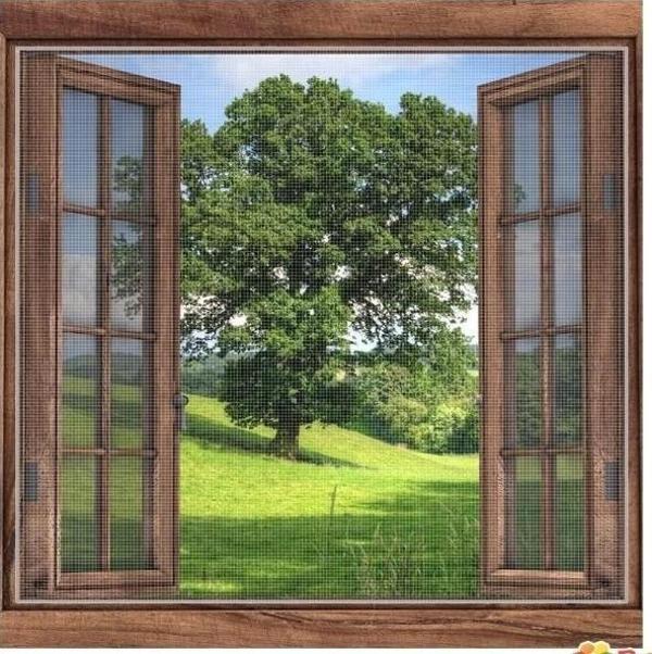 Yapışkanlı Çift Kanat Sineklik - Image 1
