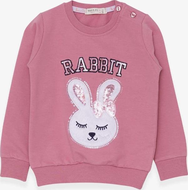 Breeze Kız Çocuk Sweatshirt Tavşancık Nakışlı Pullu 1.5-5 Yaş, Gülkurusu - Image 1