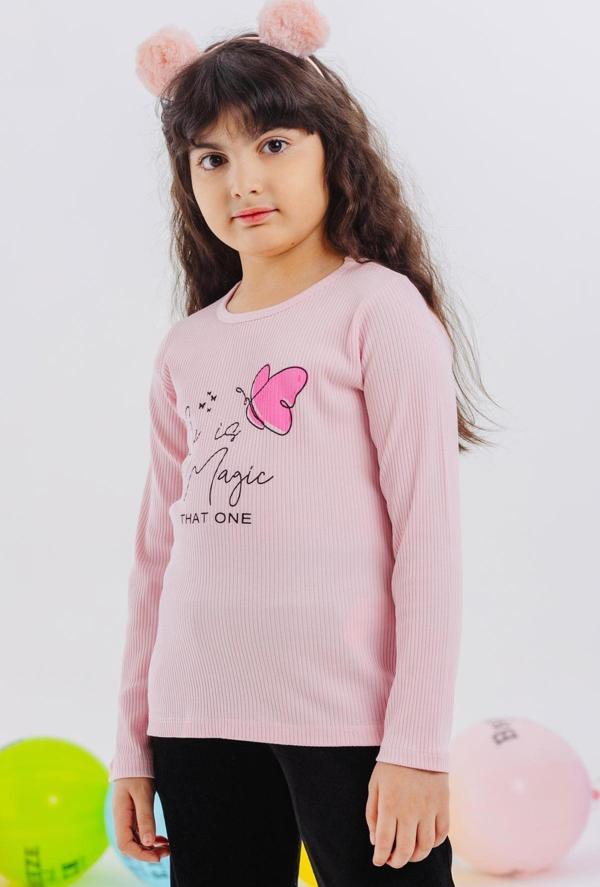 Breeze Kız Çocuk Uzun Kollu Tişört Kelebek Baskılı 4-8 Yaş, Pembe - Image 1