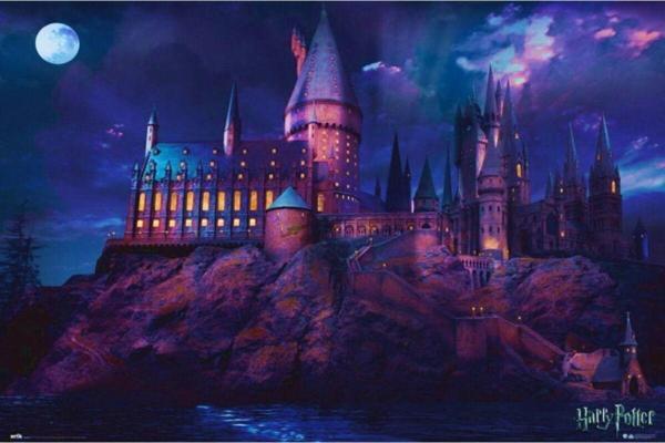 Grupo Erık Harry Potter Hogwards Maxı Poster - Image 1