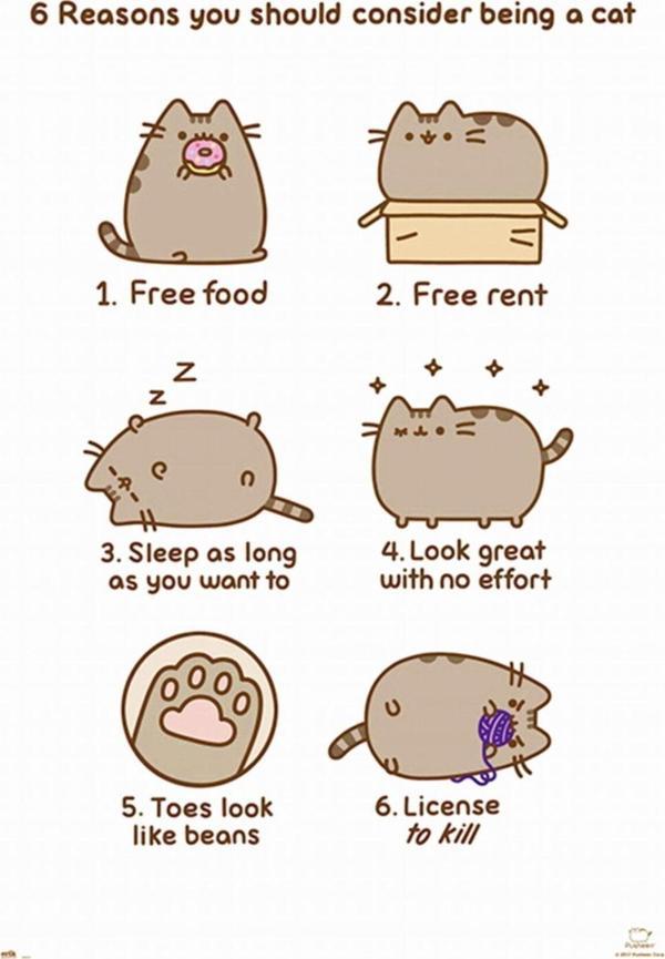 Grupo Erık Pusheen The Cat Maxı Poster - Image 1