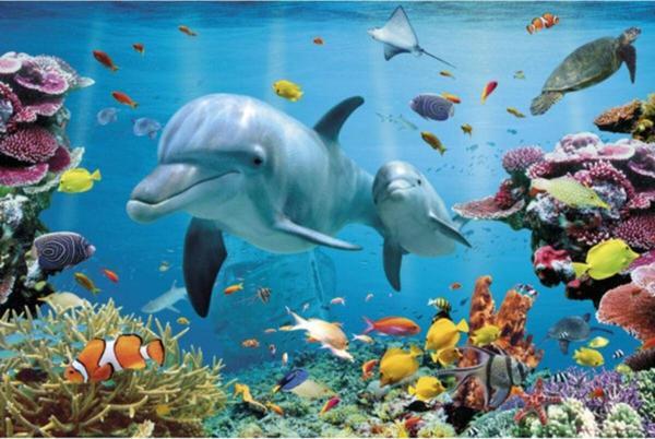 Gb Eye Tropıcal Underwater Ocean Maxı Poster - Image 1