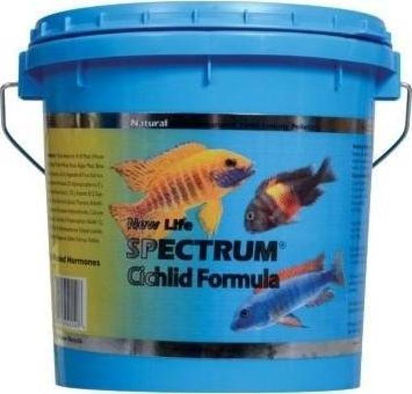 New Life Spectrum Cichlid Formula 100gr (Açık) - Image 1