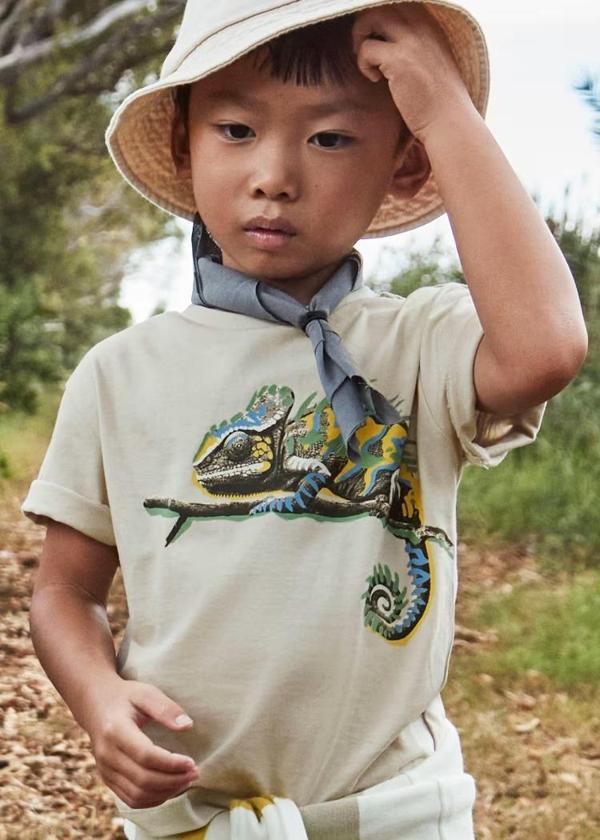 Mayoral Bukalemun Baskılı Erkek Çocuk T-shirt 3045 - Image 1