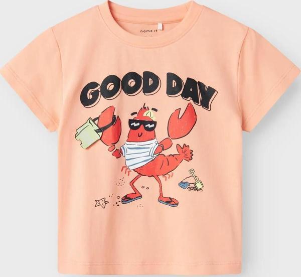 Name It Nmmfish Nreg Ss Top Box Unisex Çocuk T-shirt 13241295 - Image 1