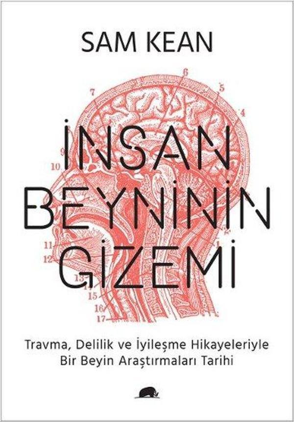 İnsan Beyninin Gizemi - Kolektif Kitap - Image 1