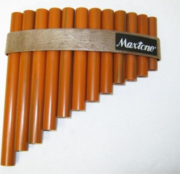 Maxtone Pf12-B 12 Nota Pan Flüt - Image 1