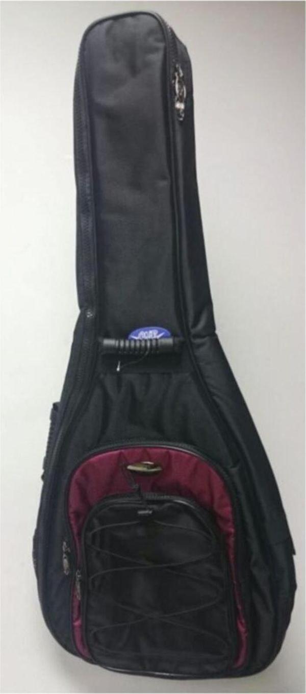 Valencia Cgb1680 Gitar Kılıfı - Image 1