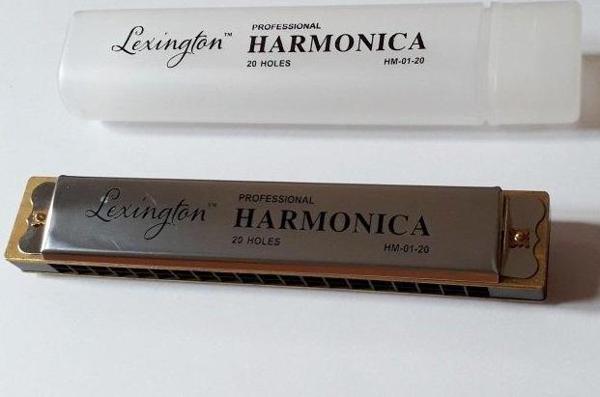 HM0120 MIZIKA 20 DELİK PROFESSIONAL HARMONICA ŞEFFAF KUTULU - Image 1