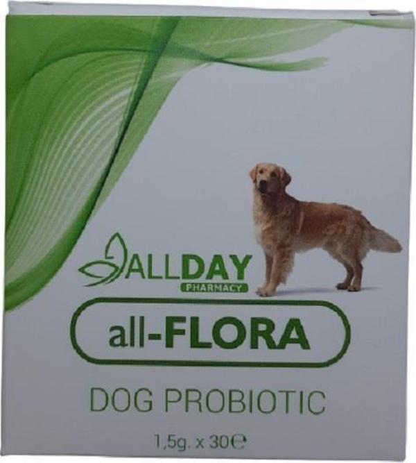 Allday Flora Dog Köpek Sindirim Sistemi Düzenleyici Probiotic 1,5gr*30 - Image 1
